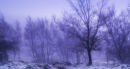 gummers how snowstorm